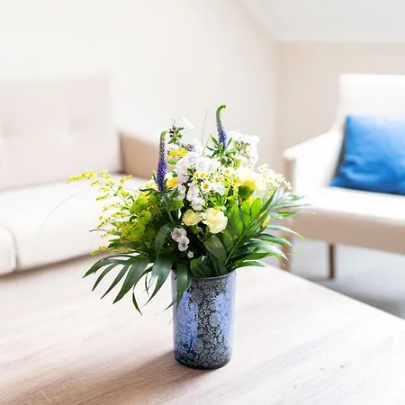 酒店 Akzent 宾茨